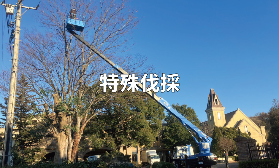 造成/外構/特殊伐採